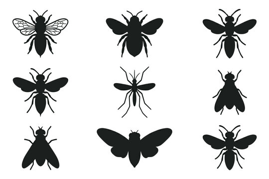 collection of fly and insect silhouettes isolated on transparent background