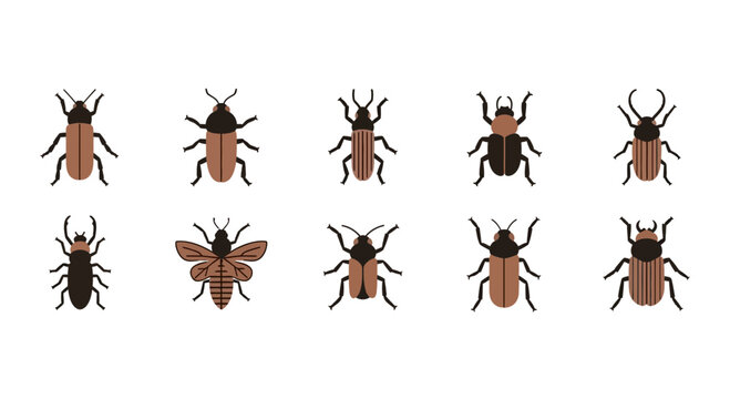 Vector beetle and insect icon set in flat design style