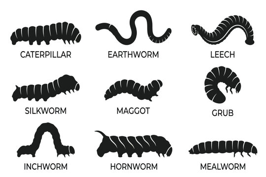 Nine different types of worms and larvae illustrated in black and white isolated on transparent background