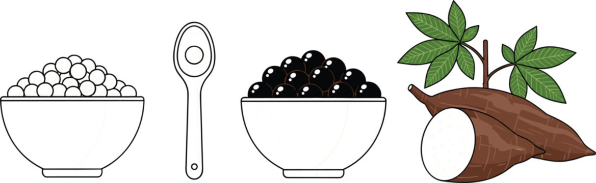 Tapioca pearls and cassava root vector illustration with bowl of white and black pearls, spoon and plant, tropical food ingredient, flat design isolated background