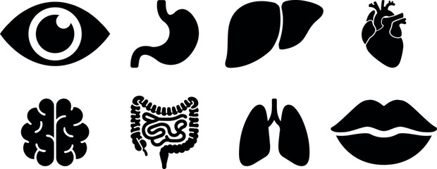 Fototapeta premium Human organ, anatomy icon set. Vector glyph pictograms of brain, heart, lungs, liver, stomach, intestine, kidney medical, healthcare, and biology concept black silhouette illustration.
