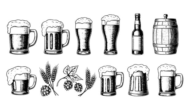 Vintage beer illustration set with mugs bottles barrels and hops detailed engraved vector isolated on white background