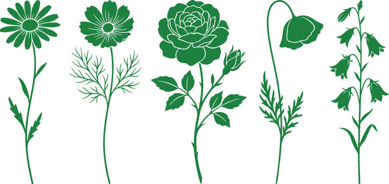 Collection of various garden flowers including rose and poppy on long stems for designing.