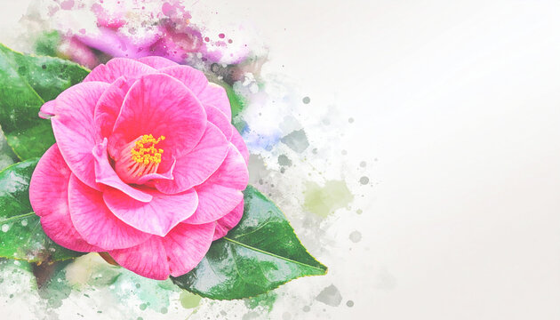 季節の茶花（ちゃばな）