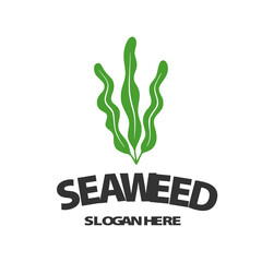Modern Seaweed Silhouette Logo with Organic Green Leaves for Healthy Food and Marine Cosmetics Branding Vector Illustration © MANIFEST