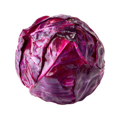 Fototapeta premium Fresh purple cabbage head with vibrant layered leaves on white background
