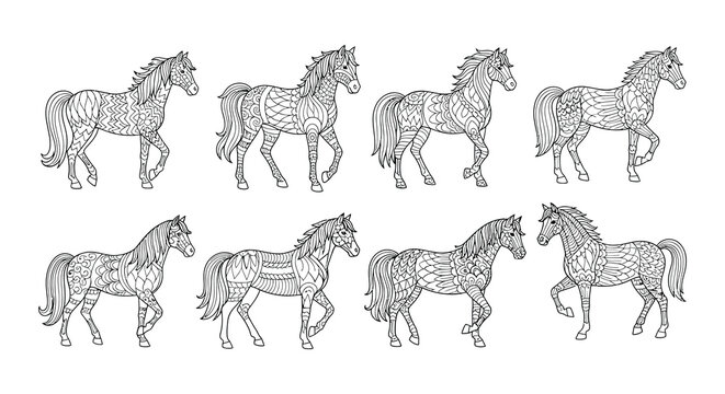 Intricate zentangle horses a collection of detailed patterned equine illustrations