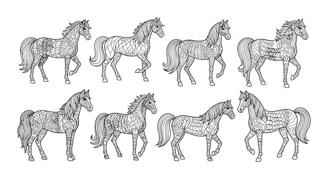 Intricate zentangle horses a collection of detailed patterned equine illustrations