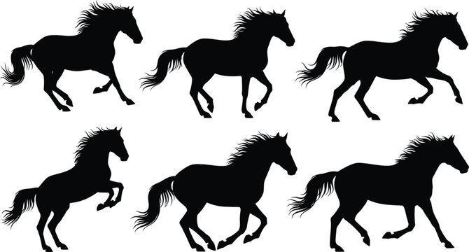 Set of Black Vector Silhouettes of Wild Galloping Horses in Different Dynamic Running and Rearing Poses Isolated on Plain White Background
