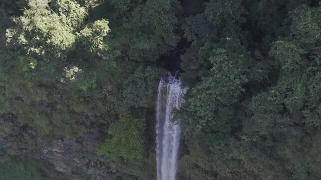 Thrilling zipline experience over Tad Fane twin waterfalls in Bolaven Plateau, Laos - Aerial drone shot ( HLG log )