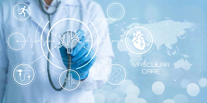 Doctor wearing blue gloves holding a stethoscope near a digital infographic with icons of human heart and vascular system symbolizing healthcare and medical diagnostics