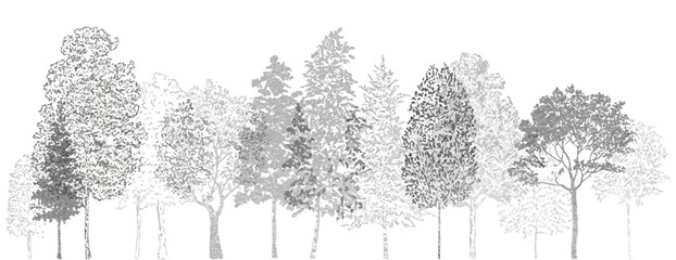 Architectural CAD Tree Line Drawing Set, Minimal Style Side View Section Wetland Forest Outline for Landscape Design, Separate Elements Vector Illustration Collection © YET FAR 