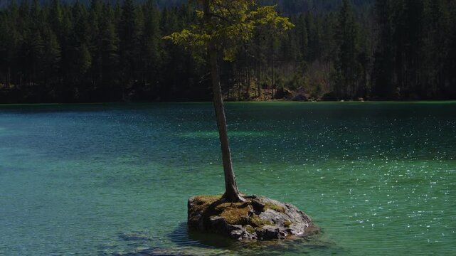 Rocky island with pine tree stands in the turquoise water of Hintersee, alpine landscape, Berchtesgaden.