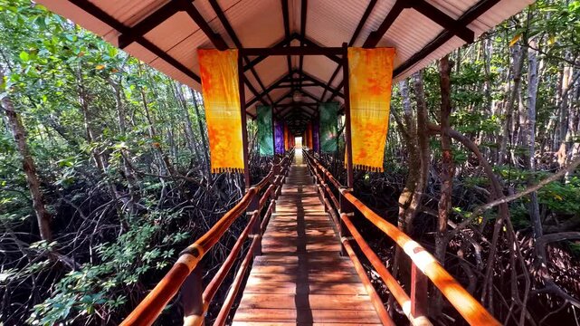 First person perspective walking a covered wooden mangrove bridge