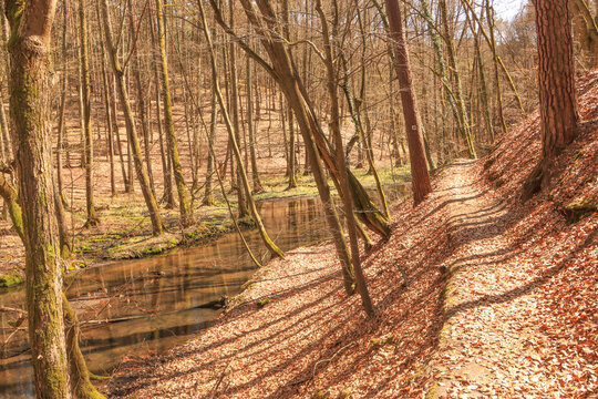 Fr&uuml;hling im Schlaubetal; Wanderweg an der Schlaube unweit der Bremsdorfer M&uuml;hle