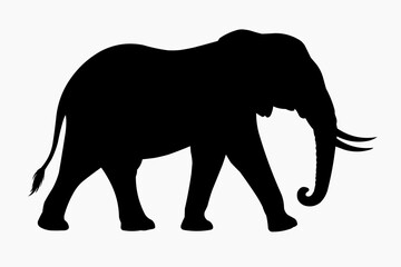Fototapeta premium Elephant Silhouette Walking African Elephant Profile Elephant Side View