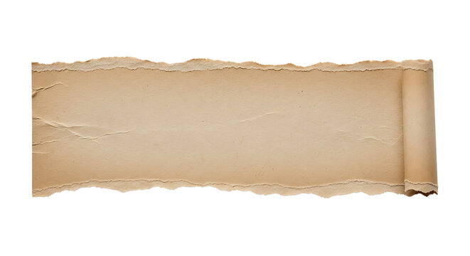 Textured horizontal strip of torn beige cardboard with rough deckled edges and curled scroll end on black background
