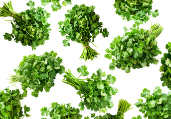 Naklejka premium Multiple cilantro bunches arranged in a seamless pattern, isolated on white background, concept of freshness and organic herbs