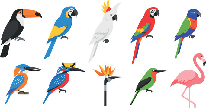 Colorful exotic birds vector icon set with toucan parrots cockatoo flamingo kingfisher in flat cartoon illustration style