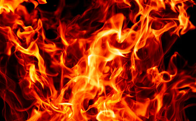 Fototapeta premium Fire blaze background. Fire inferno. Fire sparks. Fire glowing effect.