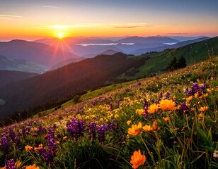 Obraz premium Mountain flowers bloom as the sun sets over the distant ridges