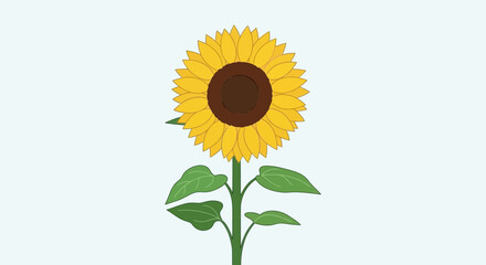 Fototapeta premium Vibrant Sunflower Plant with Green Leaves Isolated on White Background