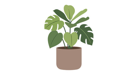 Potted Tropical Houseplant with Large Green Leaves, Minimalist Style © Ahda
