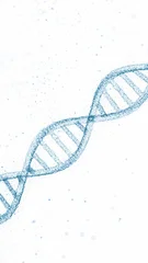 3d dna chain on white background. Vertical illustration. © robsonphoto