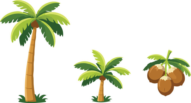 Tropical Palm Tree Set for Summer Vacation and Island Travel Flat Vector Illustration