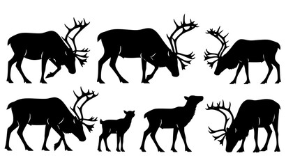 Artistic reindeer silhouette vector set with male female and calf caribou in Arctic wildlife style © Sabbir