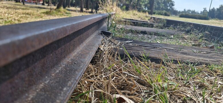 wooden fence