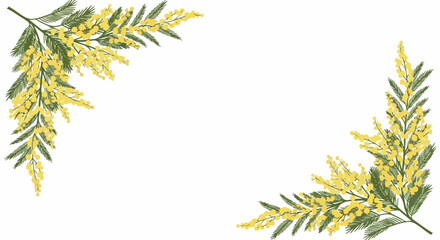 Yellow mimosa flower corner frame vector, blooming acacia branches with green leaves, spring floral border for wedding invitation and greeting card © rao.com