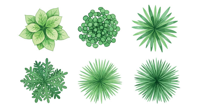 Watercolor architectural tree plan symbols, set of 6 green plant top view icons, landscape design elements for site mapping and garden planning