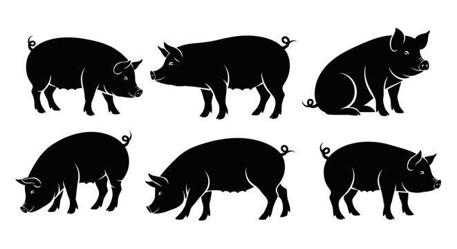Set of Black Pig Silhouettes in Various Poses