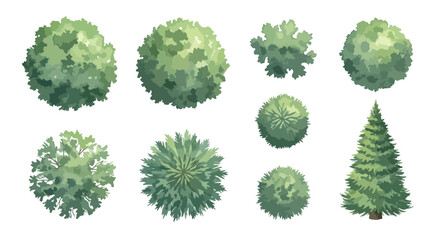 Top view tree set for landscape design, aerial garden plants and forest greenery icons, architectural site plan vegetation vector collection © rao.com