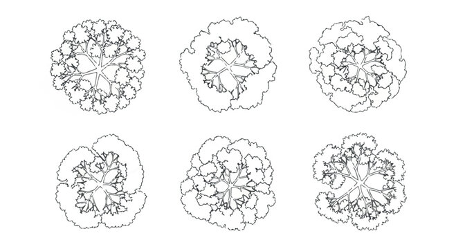 Minimalist tree top view vector set, architectural landscape plan symbols, 6 black and white outline plant icons for site mapping and garden design