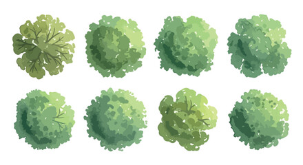 Watercolor tree top view collection, 8 green plant symbols for landscape architecture, aerial garden plan icons, hand drawn nature vector set © rao.com