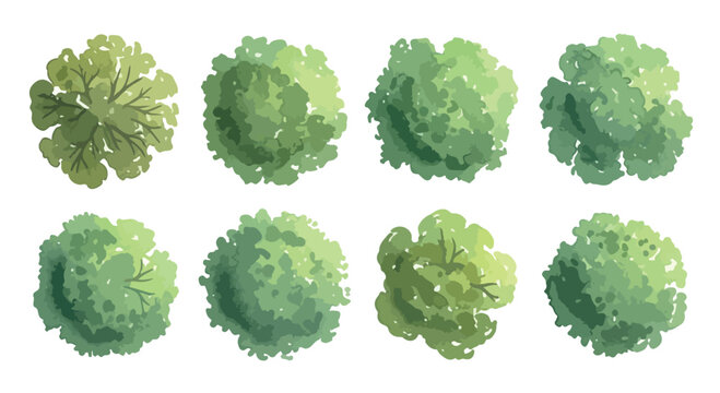 Watercolor tree top view collection, 8 green plant symbols for landscape architecture, aerial garden plan icons, hand drawn nature vector set
