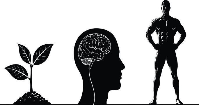 Holistic personal growth concept featuring a young green sprout, human brain profile, and muscular male silhouette symbolizing mental and physical development