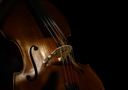 A fragment of a double bass on a black background