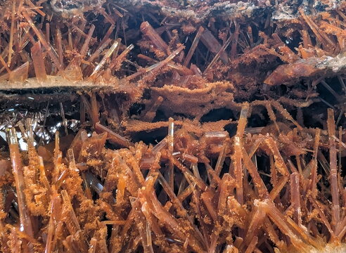 Vibrant Orange Acicular Mineral Crystal Formation