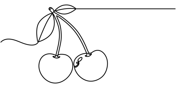 cherry continuous one line drawing, cherry with on white background, outline illustration. 