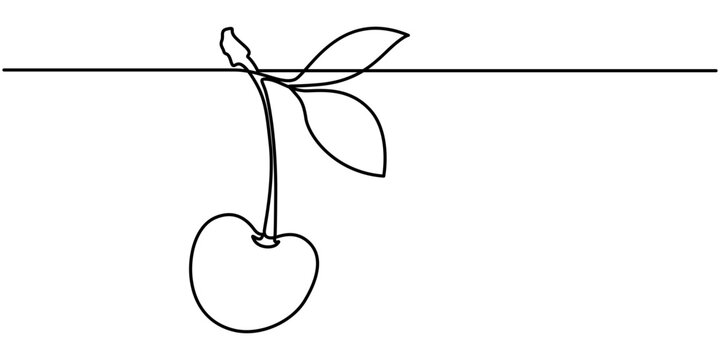 cherry continuous one line drawing, cherry with on white background, outline illustration. 