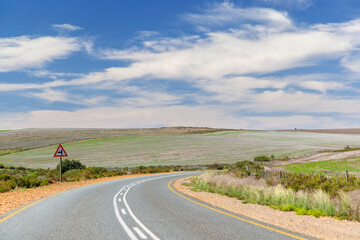 Naklejka premium Asphalt road in South Africa surrounded by fields
