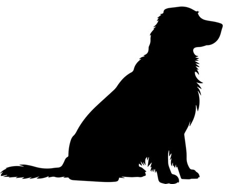 Black Silhouette of a Sitting Golden Retriever Dog Isolated on White Background