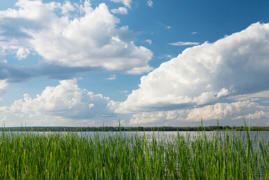 Sunny summer landscape with river and field