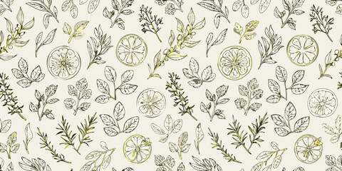 Botanical illustration featuring herbs lemon slices and delicate foliage © Hemlata