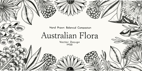 Detailed botanical illustration showcasing various species of australian flora © Hemlata