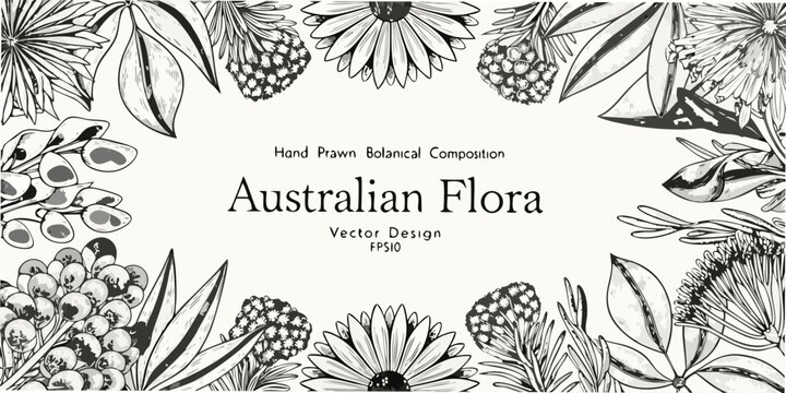 Detailed botanical illustration showcasing various species of australian flora