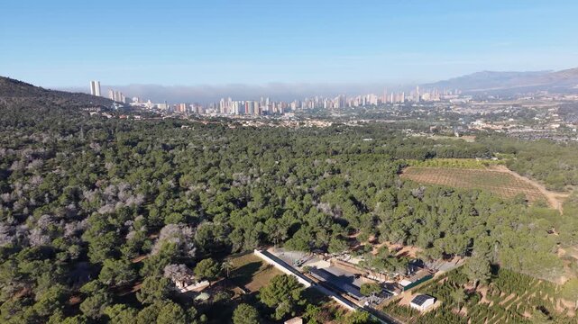 Cinematic drone shot capturing the contrast between the dense pine forest of Serra Gelada and the distant high-rise buildings of Benidorm.